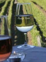 Trophies and Award winning wines